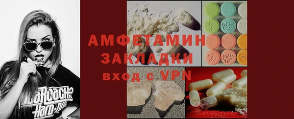 крисы Бронницы