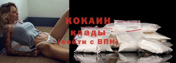 крисы Бронницы