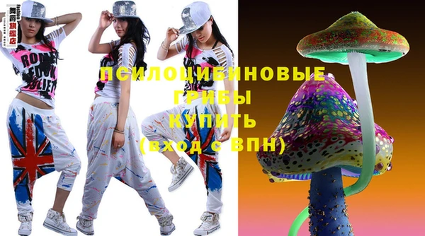 крисы Бронницы
