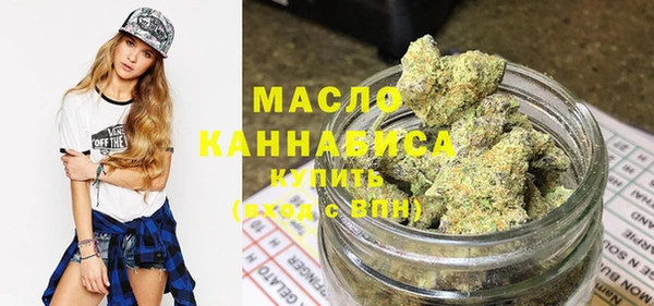 крисы Бронницы