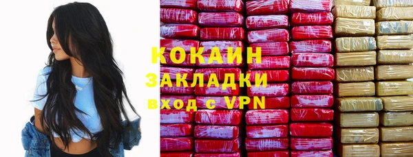 крисы Бронницы
